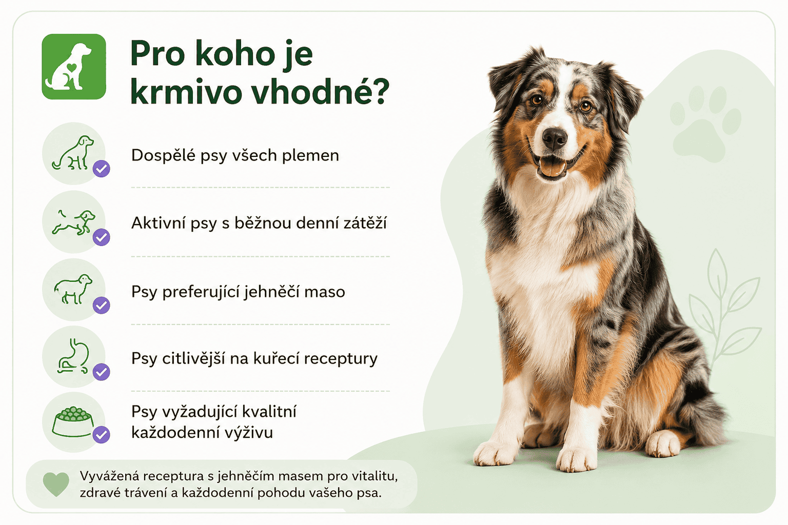 Arden Grange Adult jehněčí pro koho jsou granule vhodné (1)